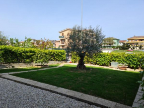 La Coccinella Porto Sant'elpidio